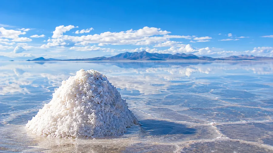 Guía de Tour de 1 Día por el Salar de Uyuni
